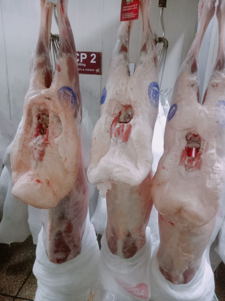 Mutton