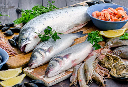 Seafood